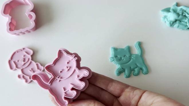 Finished dog and cat cookie cutters with embossed fondant shapes